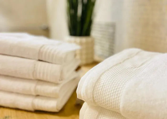 Central Luxury Apartament